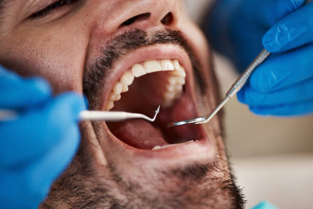 Best Emergency Dental Services for Seniors in Haslett, MI