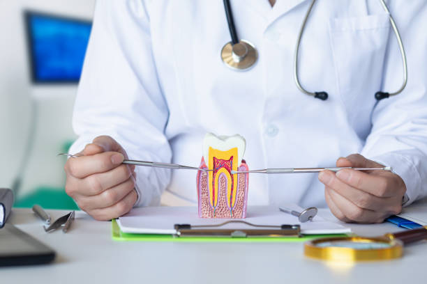 Best Emergency Dental Extractions in Haslett, MI